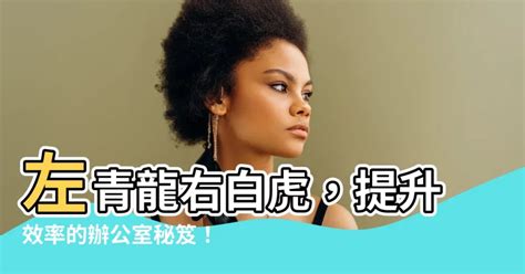 左青龍右滑鼠意思|「左青龍右白虎，前朱雀後玄武」什麼意思？那麼中間。